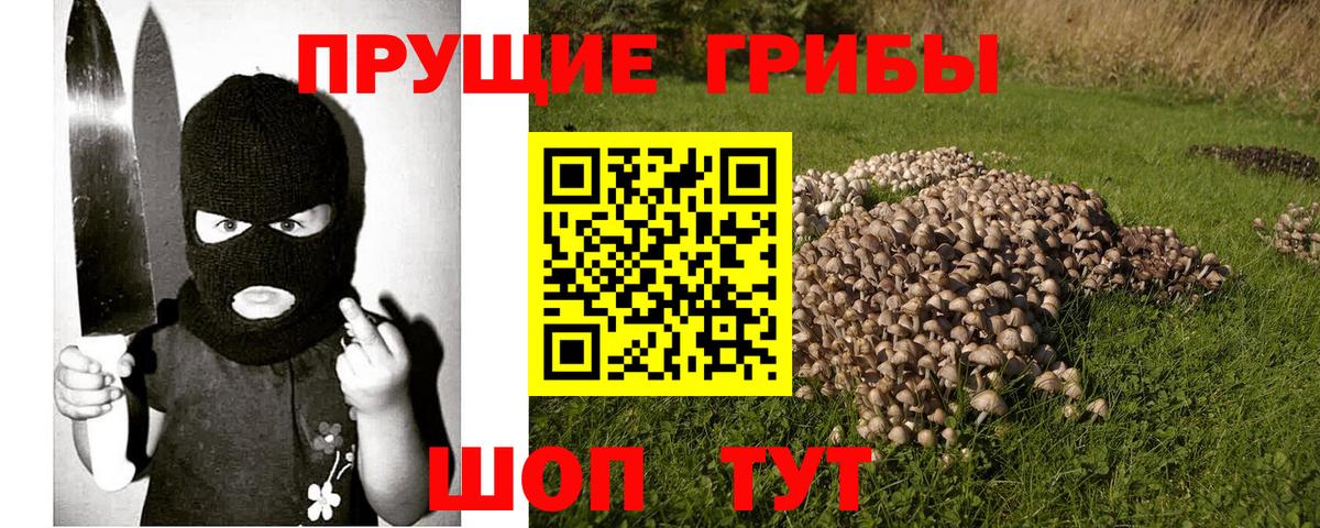 купить закладку  Псилоцибиновые грибы ЛСД  Южно-Сахалинск  Вход с VPN  Псилоцибиновые грибы Psilocybine cubensis 